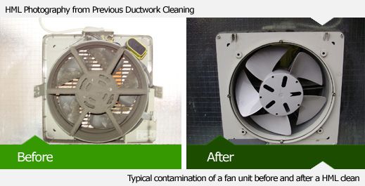 Fan Cleaning